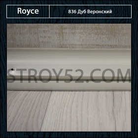 Дуб Веронский 836